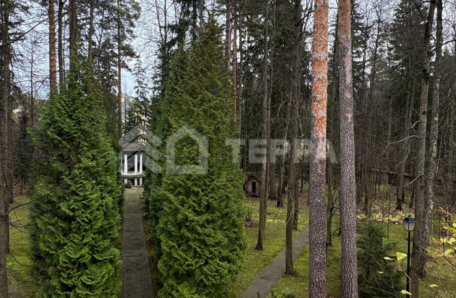 Объект ID 19034 - Участок