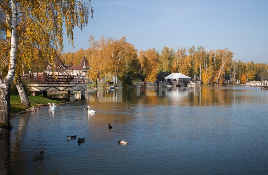 Объект ID 16754 - Дом