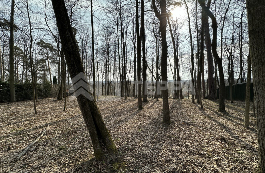 Объект ID 18453 - Участок