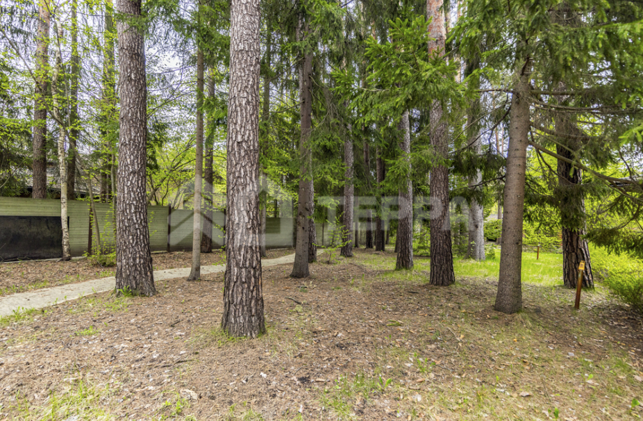 Объект ID 18815 - Участок