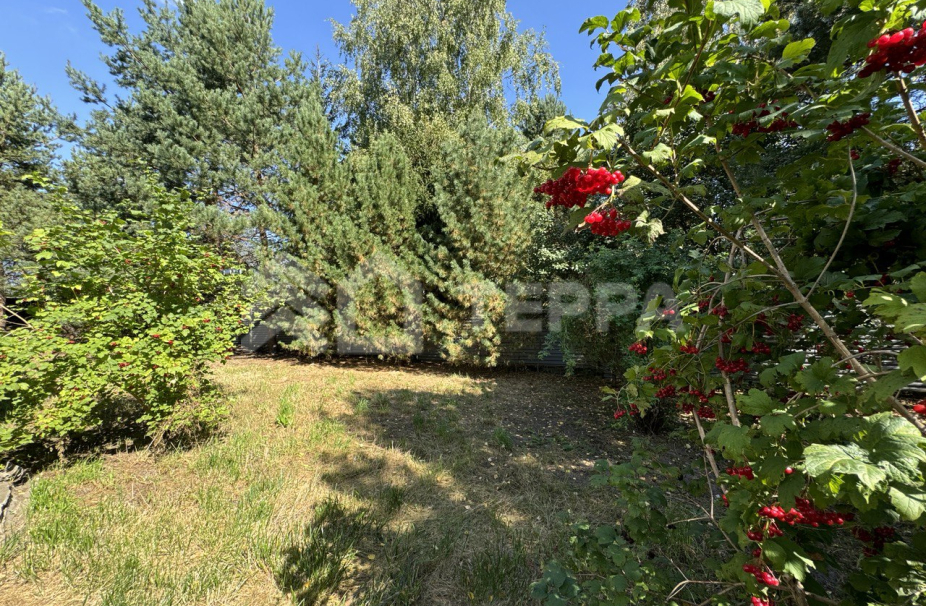 Объект ID 18151 - Участок