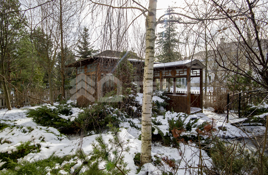 Объект ID 16312 - Дом