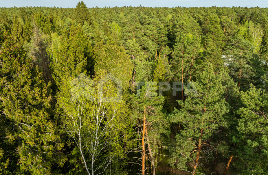 Объект ID 19098 - Участок