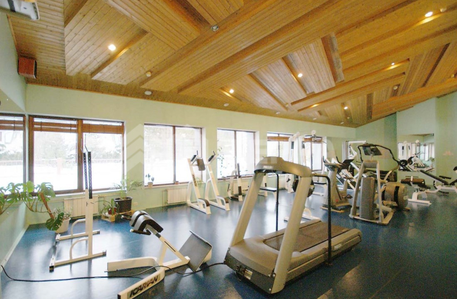 Горки-1 Дрофа