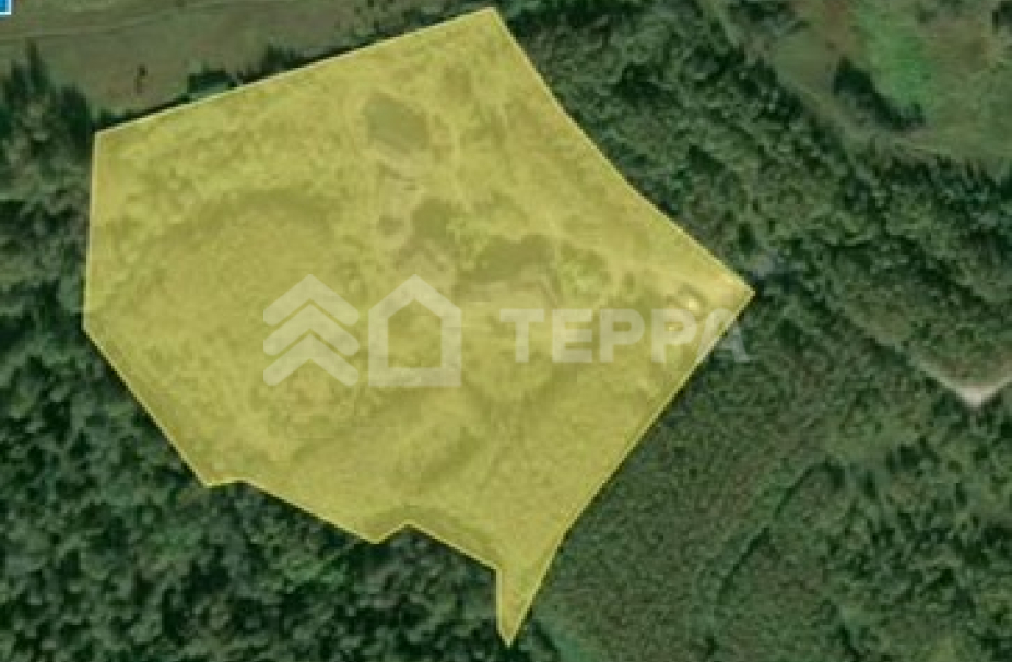 Объект ID 19365 - Участок