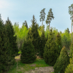 Объект ID 18569 - Участок