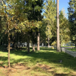Объект ID 18565 - Участок