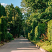 Объект ID 19348 - Участок