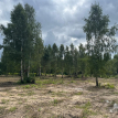 Объект ID 18917 - Участок