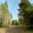 Объект ID 18567 - Участок