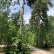 Объект ID 15878 - Дом
