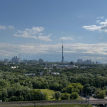 Объект ID 43896 - 