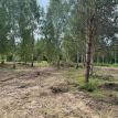 Объект ID 18917 - Участок