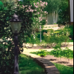 Объект ID 16558 - Дом