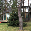 Объект ID 12696 - Дом