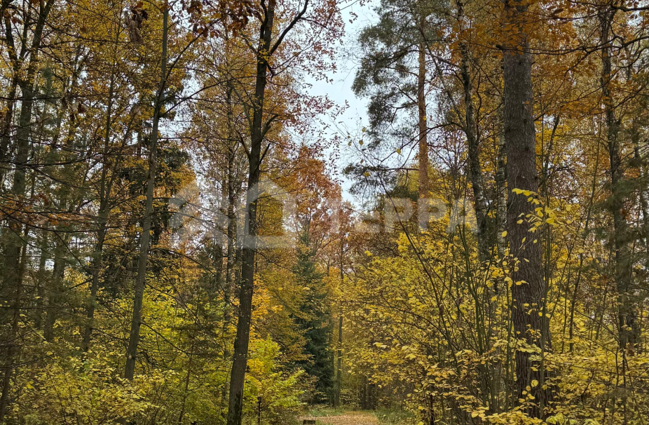 Объект ID 18992 - Участок