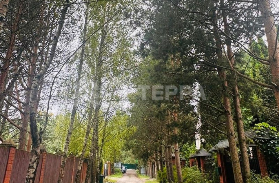 Объект ID 19073 - Участок