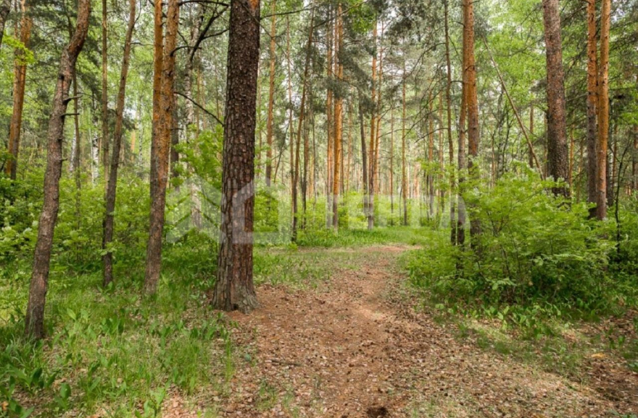 Объект ID 19370 - Участок