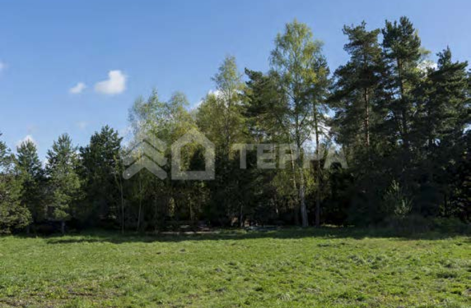 Объект ID 19155 - Участок