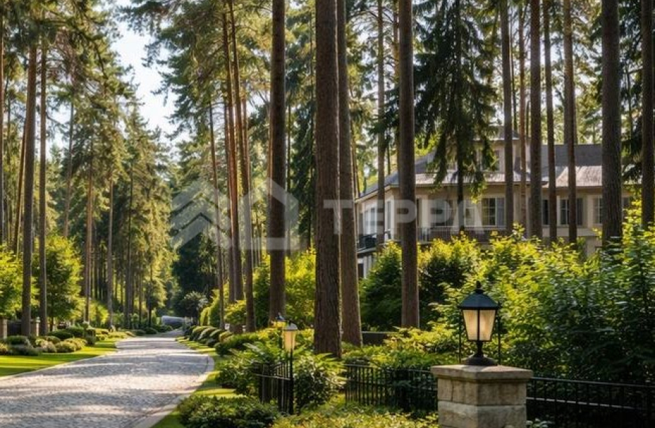 Объект ID 19062 - Участок