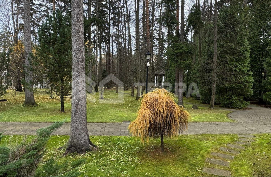 Объект ID 19034 - Участок