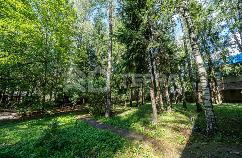 Объект ID 19134 - Участок