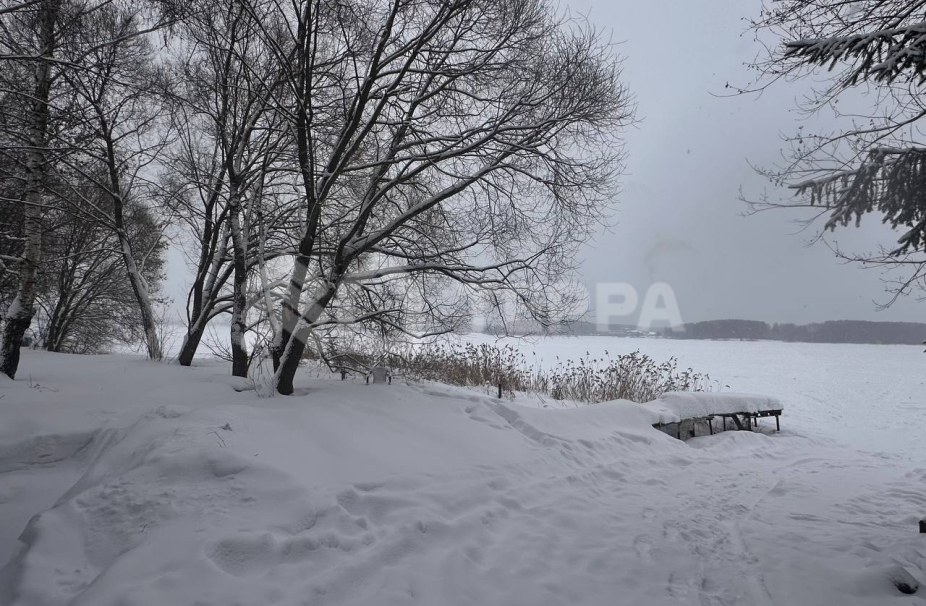 Объект ID 19075 - Участок